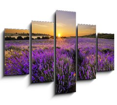 Obraz   Sunset over lavender field, 150 x 100 cm