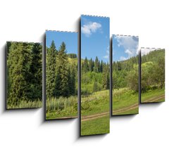 Obraz   Nature of green trees, road on Medeo, Kazakhstan, 150 x 100 cm