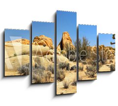 Obraz 5D ptidln - 150 x 100 cm F_GB54332730 - Joshua Tree