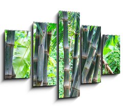 Obraz   Bamboo forest, 150 x 100 cm