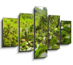 Obraz 5D ptidln - 150 x 100 cm F_GB55307244 - Rice terrace - Rice terasa
