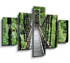 Obraz   Pont de lianes Kazura bashi Oku Iya, Shikoku, Japon, 150 x 100 cm