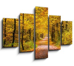 Obraz 5D ptidln - 150 x 100 cm F_GB55873204 - Autumn forest