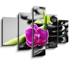 Obraz 5D ptidln - 150 x 100 cm F_GB56279364 - orchid - orchidej