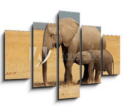 Obraz 5D ptidln - 150 x 100 cm F_GB57159640 - African elephant with calf, Amboseli National Park