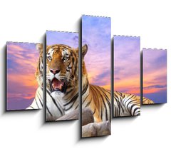 Obraz   Tiger looking something on the rock with beautiful sky at sunset, 150 x 100 cm