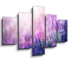 Obraz 5D ptidln - 150 x 100 cm F_GB58716262 - Lavender Flowers Field. Growing and Blooming Lavender