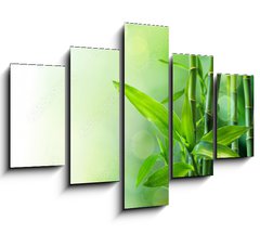 Obraz 5D ptidln - 150 x 100 cm F_GB58926337 - bamboo stalks on water