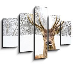 Obraz 5D ptidln - 150 x 100 cm F_GB58977181 - Deer with beautiful big horns on a winter country road