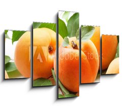 Obraz 5D ptidln - 150 x 100 cm F_GB59284348 - Fresh apricots - erstv meruky