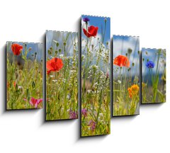 Obraz ptidln 5D - 150 x 100 cm F_GB5928687 - Colorful wildflowers