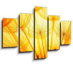 Obraz   Dandelion, 150 x 100 cm