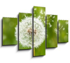 Obraz 5D ptidln - 150 x 100 cm F_GB60211614 - dandelion with flying seeds