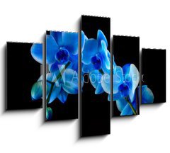 Obraz 5D ptidln - 150 x 100 cm F_GB60337173 - Blue sapphire orchid
