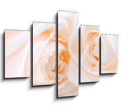 Obraz   Two delicate high key beige roses macro floral background, 150 x 100 cm