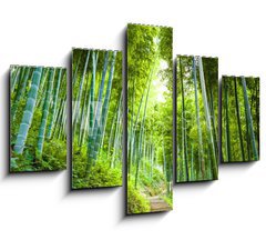 Obraz   Bamboo forest and walkway, 150 x 100 cm