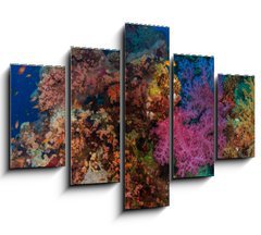 Obraz   Coral and fish, 150 x 100 cm