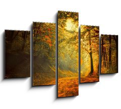 Obraz 5D ptidln - 150 x 100 cm F_GB60738927 - Autumn in the forest