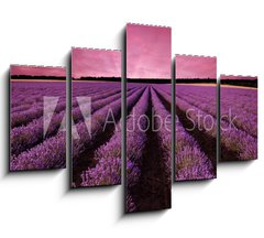 Obraz 5D ptidln - 150 x 100 cm F_GB61156891 - Stunning lavender field landscape at sunset