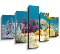 Obraz   Colorful underwater marine life seabed, 150 x 100 cm