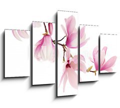 Obraz   Pink spring magnolia flowers branch, 150 x 100 cm