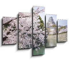 Obraz   Japanese cherry blossoms and castle in spring, 150 x 100 cm