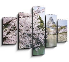 Obraz 5D ptidln - 150 x 100 cm F_GB62623940 - Japanese cherry blossoms and castle in spring