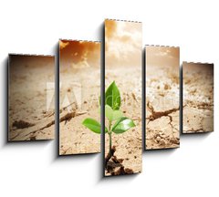 Obraz 5D ptidln - 150 x 100 cm F_GB62660495 - plant in arid land - climate warming and drought  concept