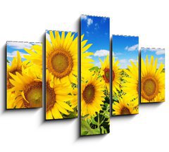 Obraz 5D ptidln - 150 x 100 cm F_GB62796944 - sunflower field and blue sky with clouds