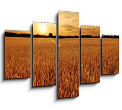 Obraz 5D ptidln - 150 x 100 cm F_GB6287668 - Field of wheat at sunset - Pole penice pi zpadu slunce