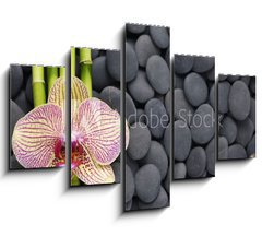Obraz 5D ptidln - 150 x 100 cm F_GB63600469 - Gorgeous orchid and thin bamboo grove on pebbles