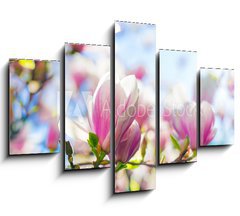 Obraz 5D ptidln - 150 x 100 cm F_GB64325812 - Beautiful blossoming magnolia tree in the spring time