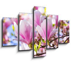 Obraz 5D ptidln - 150 x 100 cm F_GB64325849 - Beautiful blossoming magnolia tree in the spring time