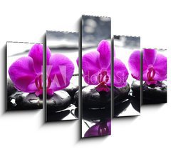 Obraz   Three orchid flower and stones with reflection in water drops, 150 x 100 cm