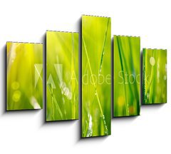 Obraz 5D ptidln - 150 x 100 cm F_GB64529085 - Fresh green grass with dew drops closeup. Soft Focus