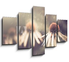 Obraz 5D ptidln - 150 x 100 cm F_GB64765134 - summer flower under rain