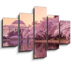 Obraz 5D ptidln - 150 x 100 cm F_GB64932334 - the Jefferson Memorial during the Cherry Blossom Festival