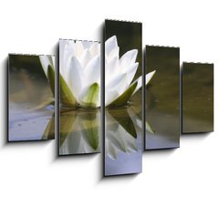 Obraz ptidln 5D - 150 x 100 cm F_GB653618 - white delicate water lily