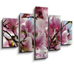 Obraz 5D ptidln - 150 x 100 cm F_GB65813621 - Magnolia tree blossom - Kvetouc strom magnlie