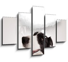 Obraz 5D ptidln - 150 x 100 cm F_GB66240953 - Cute dog with empty cloud bubble