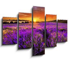 Obraz 5D ptidln - 150 x 100 cm F_GB66255723 - Lavender