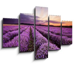 Obraz 5D ptidln - 150 x 100 cm F_GB67101822 - Sunrise in Lavender Field