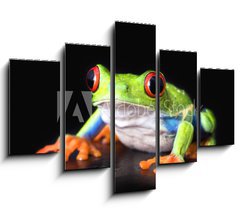 Obraz   frog closeup on black, 150 x 100 cm