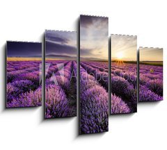 Obraz 5D ptidln - 150 x 100 cm F_GB67559194 - Lavender Sunrise