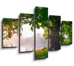 Obraz 5D ptidln - 150 x 100 cm F_GB67675896 - Oak tree in full leaf in summer standing alone