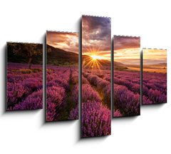 Obraz 5D ptidln - 150 x 100 cm F_GB68209726 - Stunning landscape with lavender field at sunrise - Ohromujc krajina s levandulem pole pi vchodu slunce