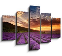 Obraz 5D ptidln - 150 x 100 cm F_GB68260251 - Stunning landscape with lavender field at sunrise - Ohromujc krajina s levandulem pole pi vchodu slunce