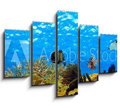 Obraz   underwater panorama of a tropical reef in the caribbean, 150 x 100 cm