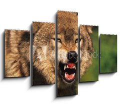 Obraz 5D ptidln - 150 x 100 cm F_GB69348071 - Snarling Wolf