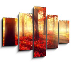 Obraz 5D ptidln - 150 x 100 cm F_GB69511191 - Fall scene. Beautiful autumnal park in sunlight